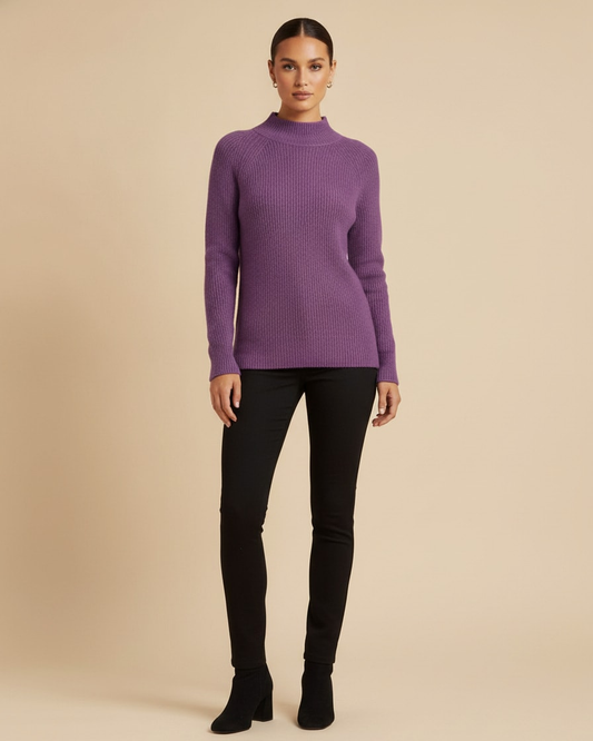 multicolor turtleneck pullover sweater 01000